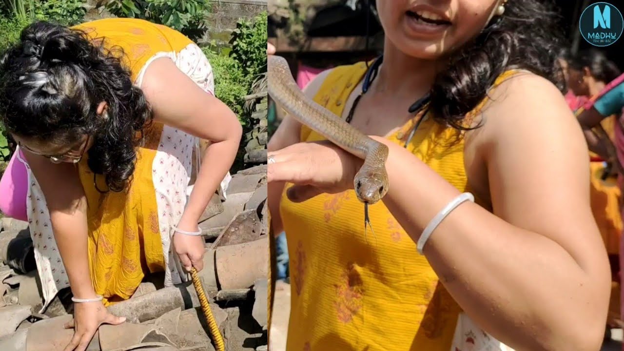 खतरनाक रेस्क्यू, छत के ऊपर से निकाला साँप को.. Adventurous snake rescue by Madhu
