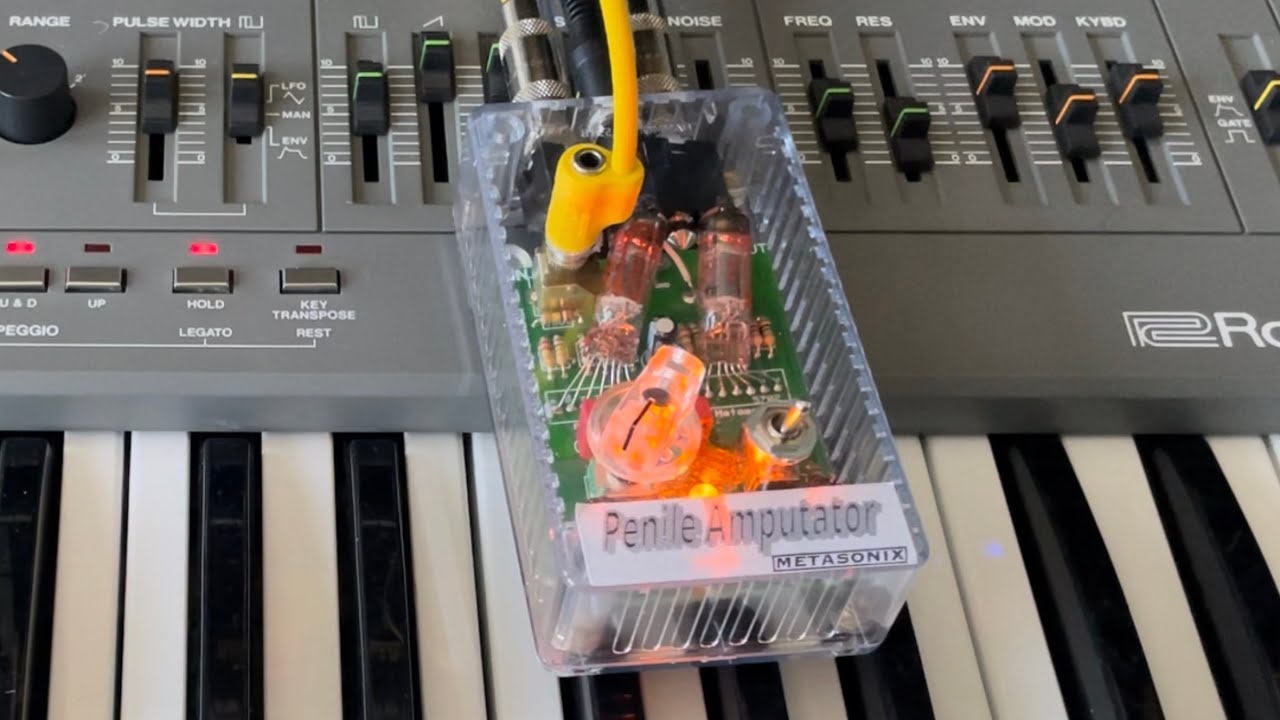 11/2/24 Metasonix Penile Amputator + Roland SH-101 + CXM 1978