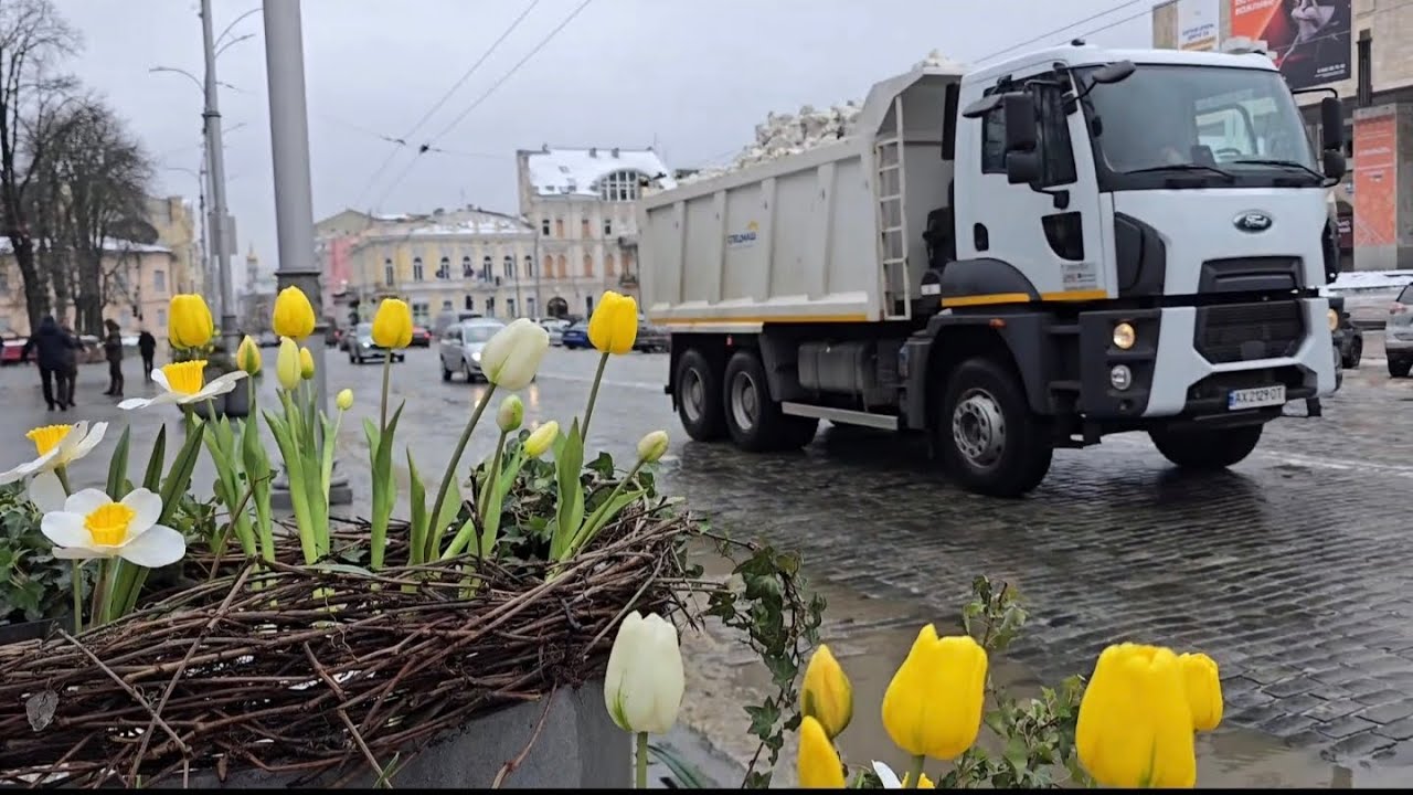 Великолепно! 👏🥰Потрясающе! 🌷25 февраля - а в Харькове высадка тюльпанов!🌷🌷  Мега ухоженный город!