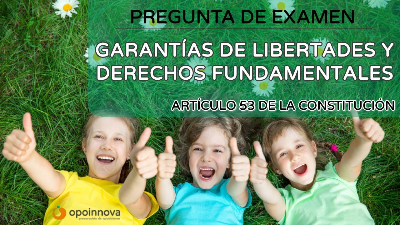 Garantías de las libertades y derechos fundamentales