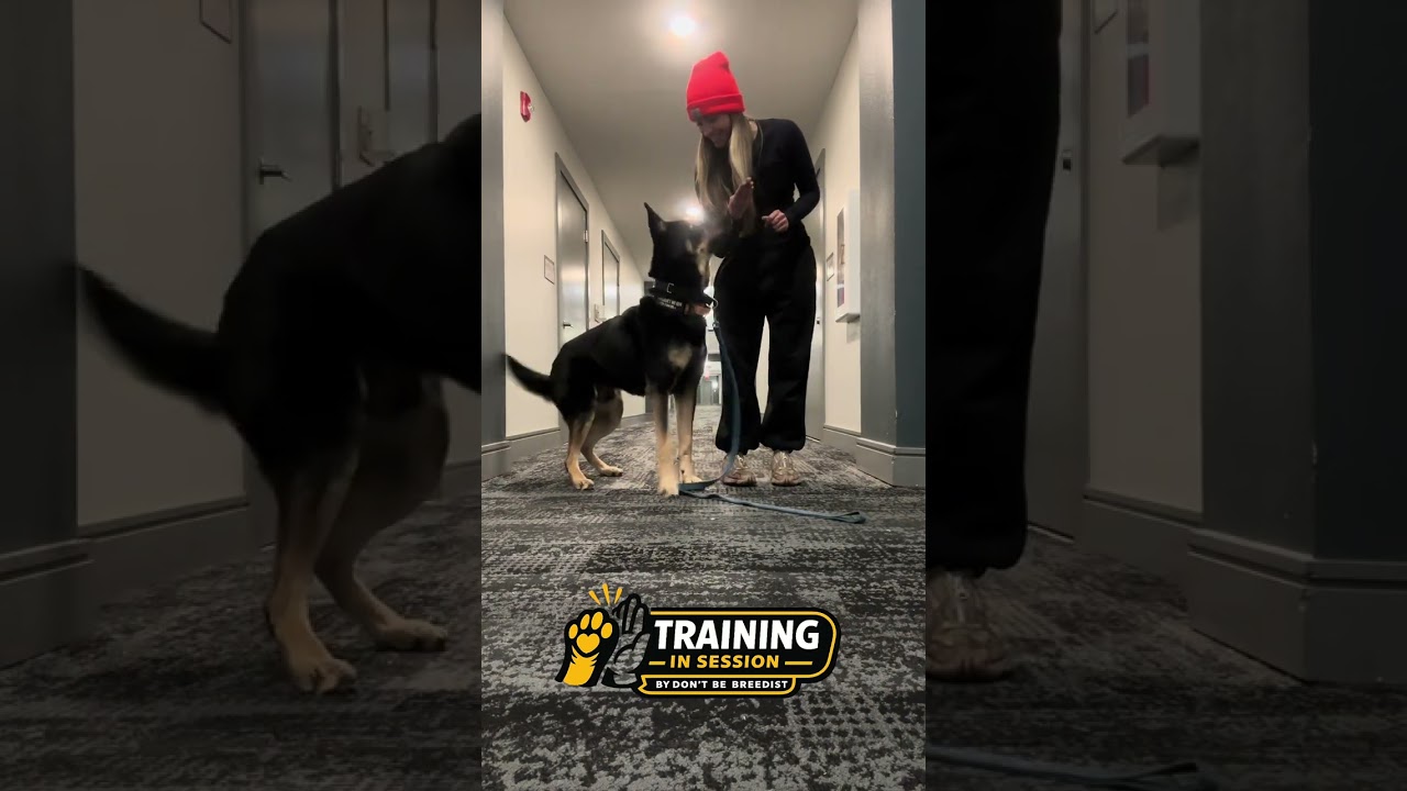 Training In Session | Forrest Gump