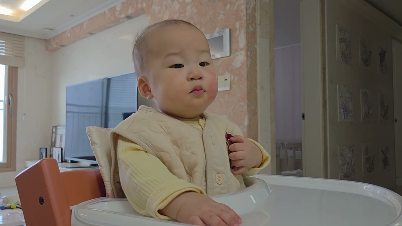 [이유식] 후기 28일차(Day 297) + 가지