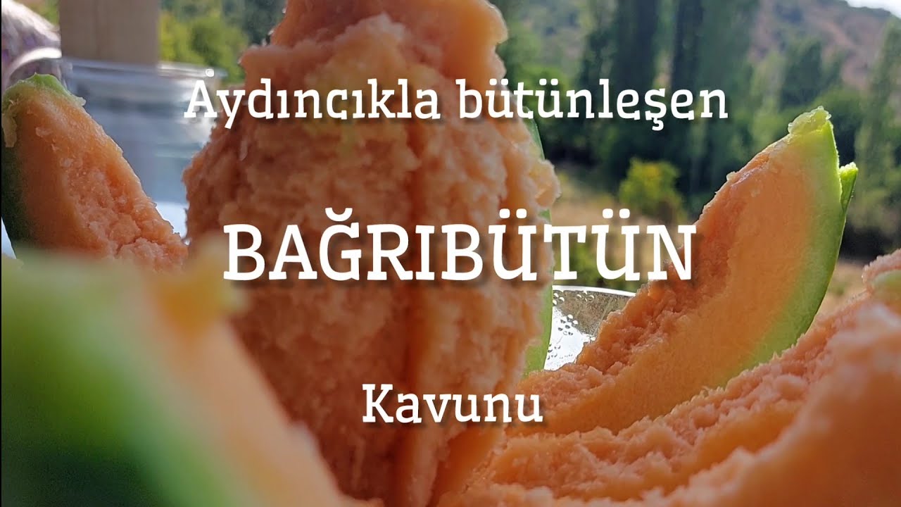 Aydıncık ile Bütünleşen Bağrıbütün Kavunu-Emin Tepeli