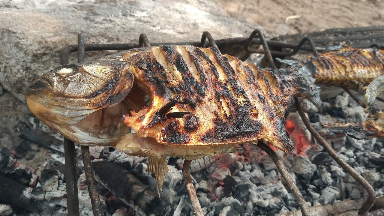 Pescaria e peixe assado na beira do rio !!! - Brutos do Paraguaçu 🎣