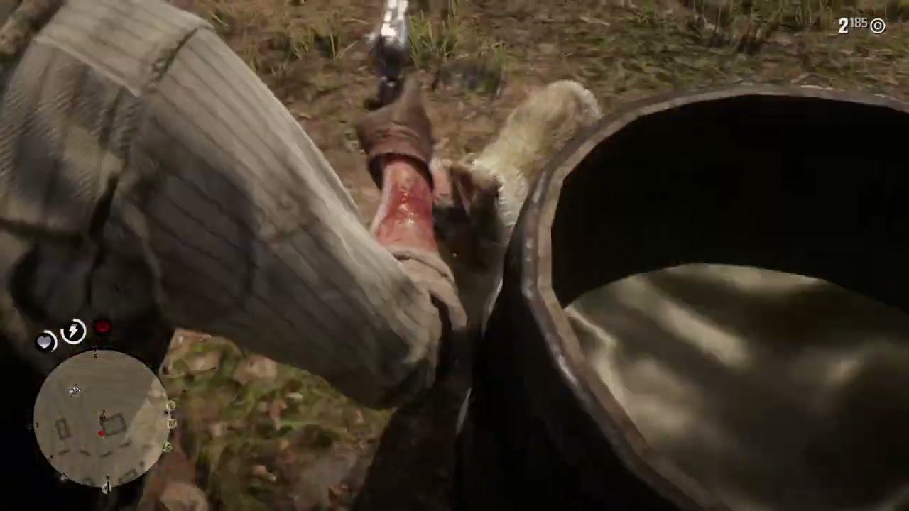 Perdido na Floresta - Red Dead Redemption 2