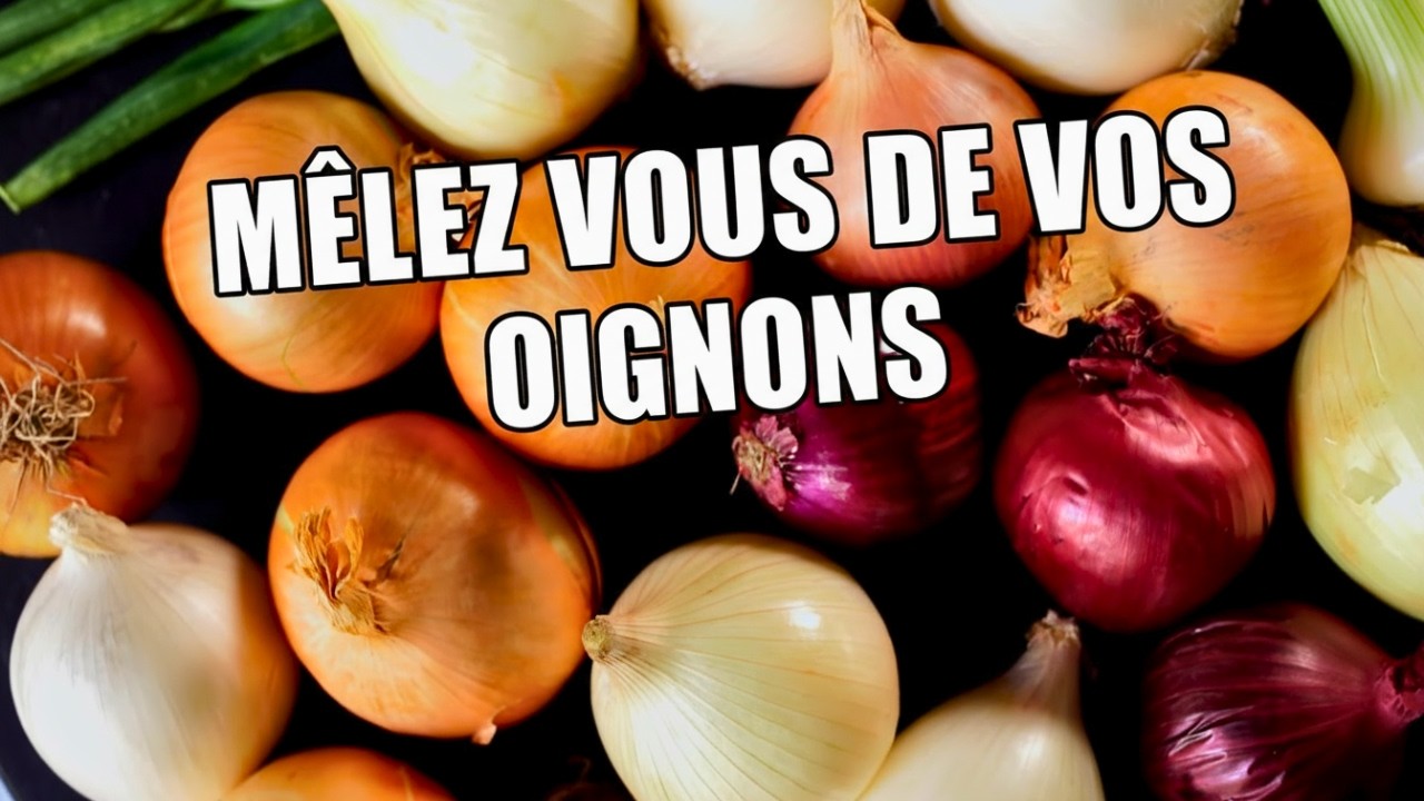 L'Oignon fait la force
