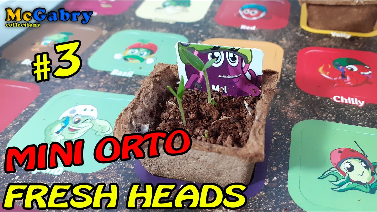 THE FRESH HEADS MINI ORTO #3-COLLEZIONE PIANTINE LIDL 2022-UNBOXING ORTO E APPLICAZIONE FRESH HEADS
