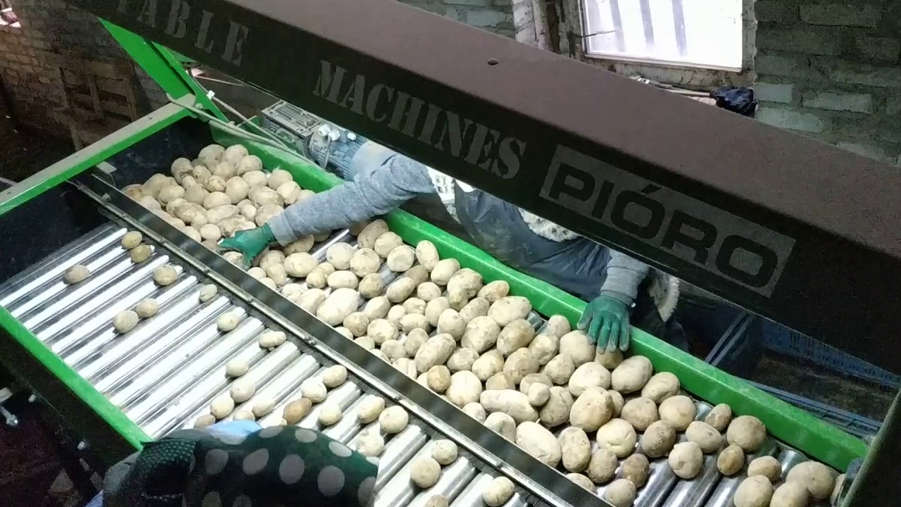 Kosz przyjęciowy firmy Machines Pióro typ KM12SS3 z stół rolkowy SR11