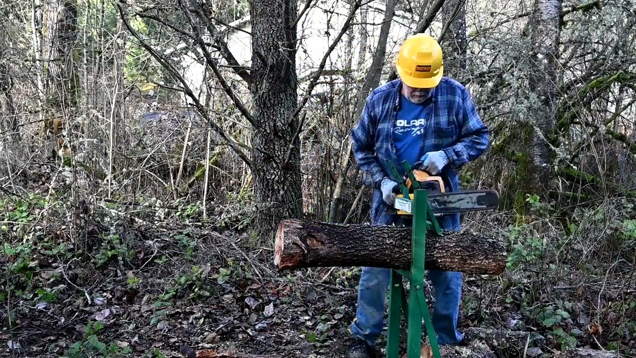 First Vintage Chainsaw Video of 2024 - Cutting Up Blowdown