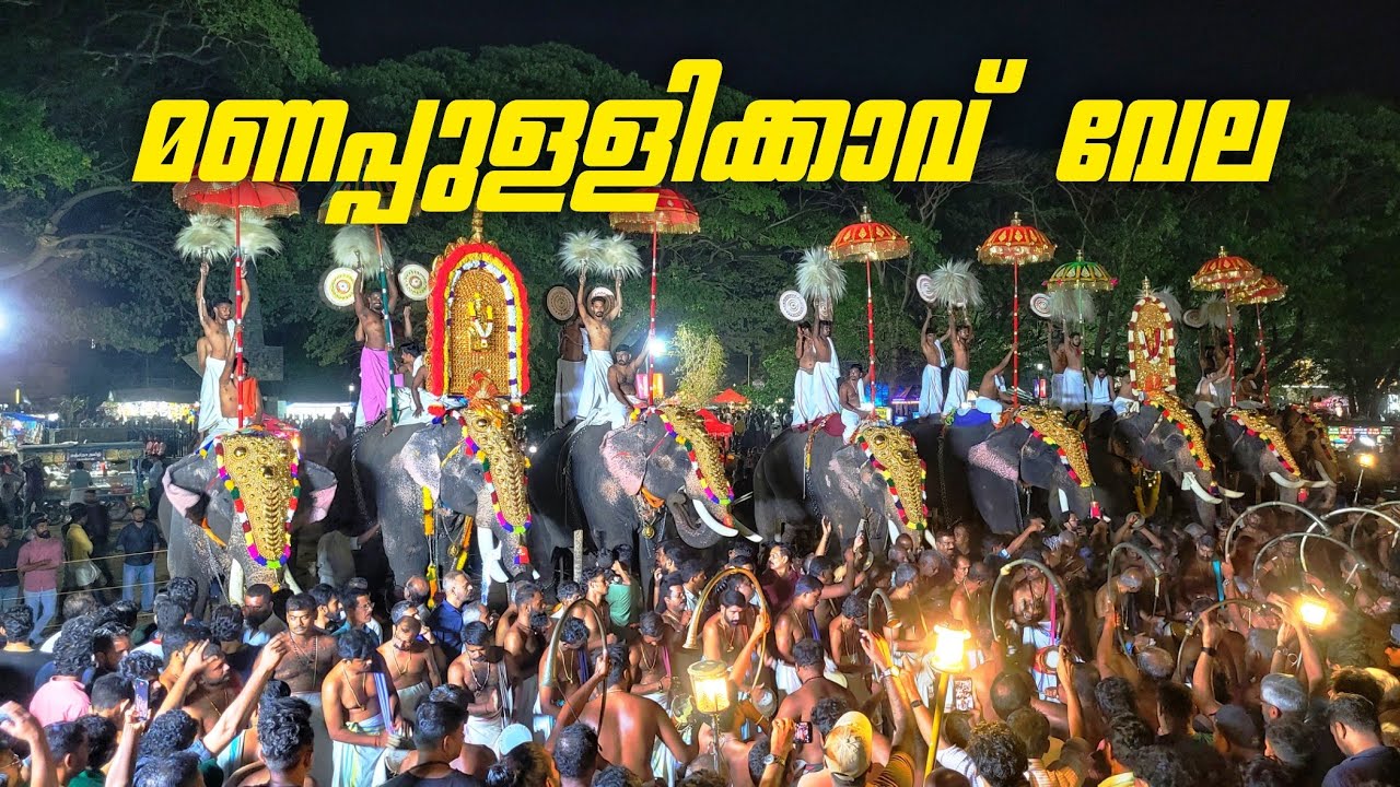 മനം നിറച്ച് മണപ്പുള്ളിക്കാവ് വേലപടിഞ്ഞാറെ യാക്കര,കൊപ്പം,വടക്കന്തറ മറ്റു ദേശങ്ങൾ | Manapullikavu Vela