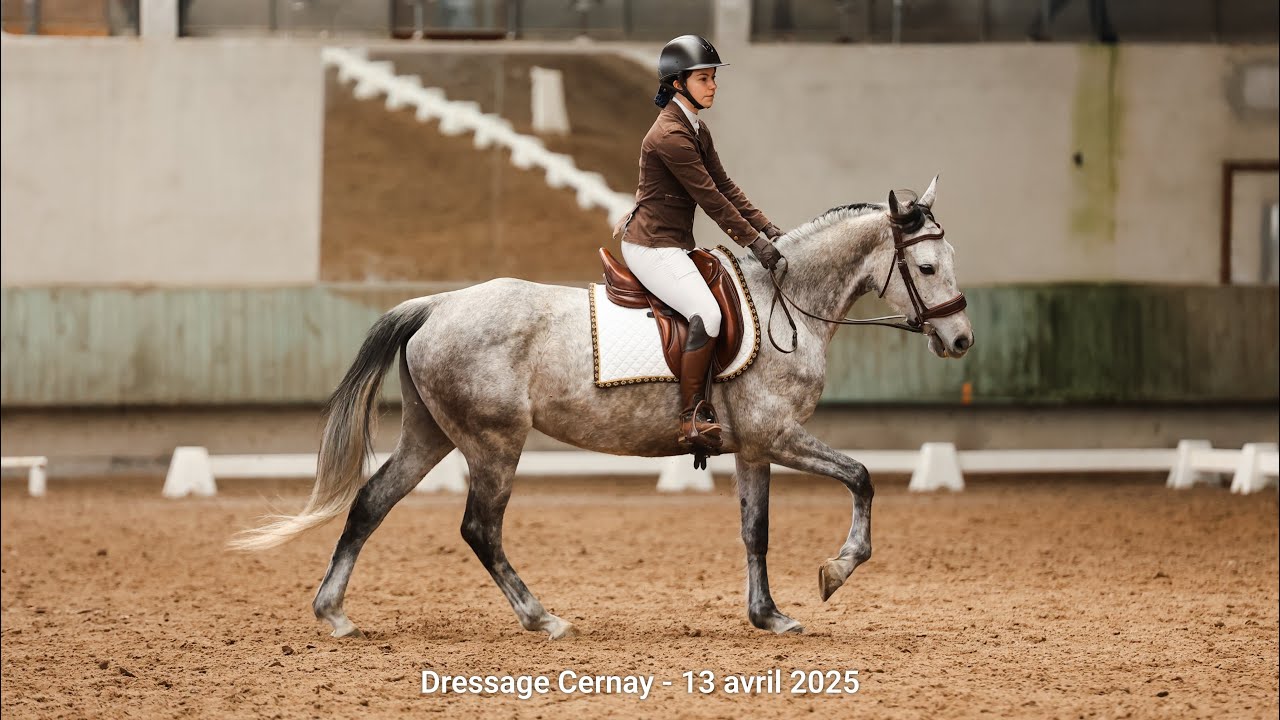 2025-04-13 Dressage SHT Club 1 GP