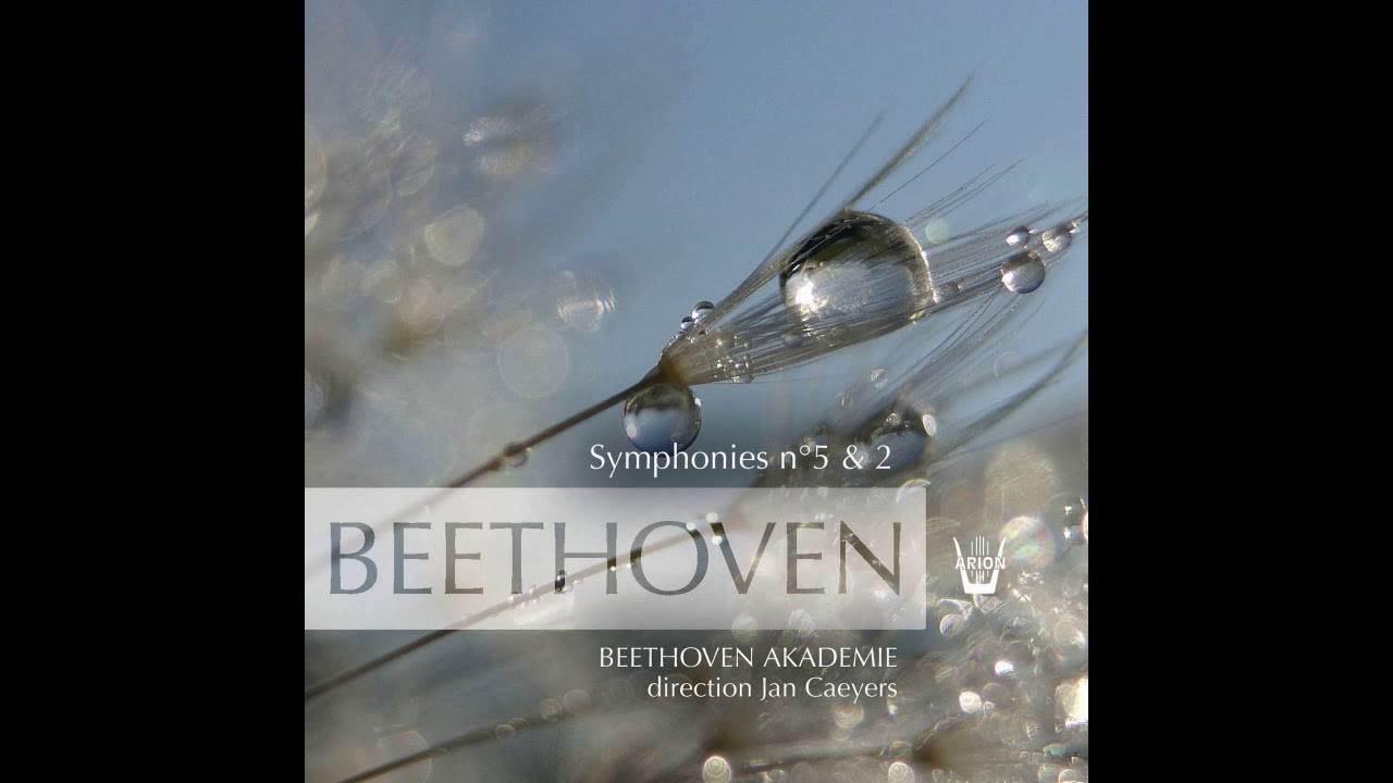 Beethoven Akademie, Jan Caeyers - Symphonie No. 5 en ut mineur : Andante con molto, Op. 67