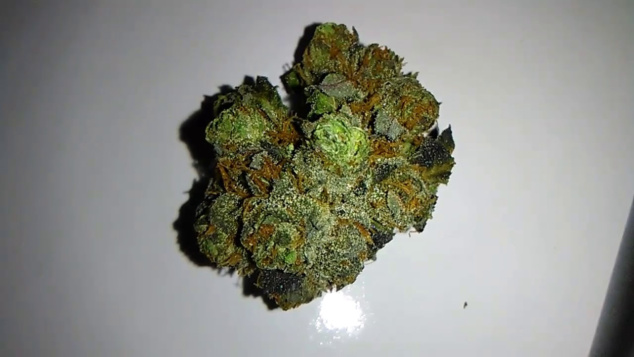 Sunset Sherbet