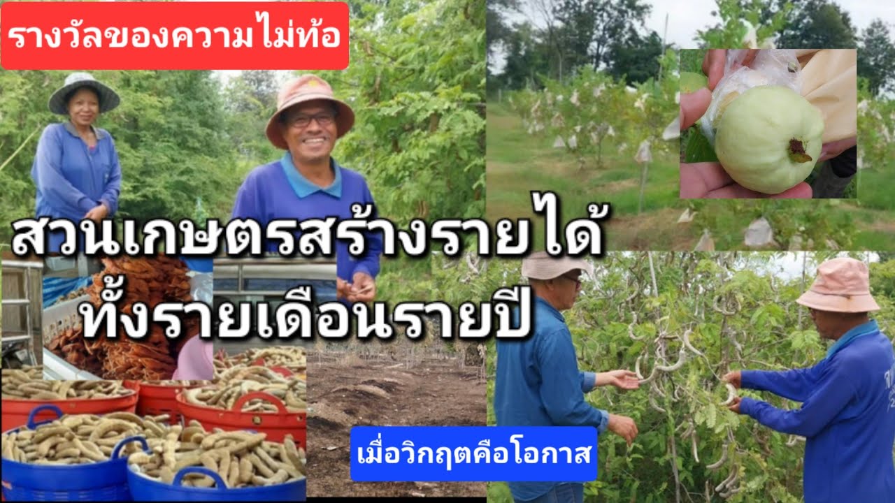 #รางวัลของความไม่ท้อ เมื่อวิกฤตคือโอกาส ได้สวนเกษตรที่สร้างรายได้ทั้งปี แบบยั่งยืน