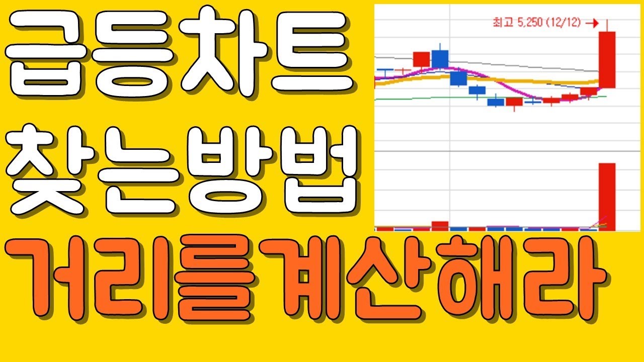 초고수들의 차트보는법