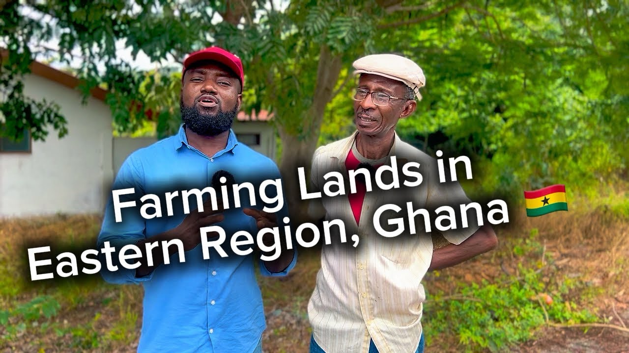 Farm Lands For Sale in Eastern Region, Ghana 🇬🇭 
