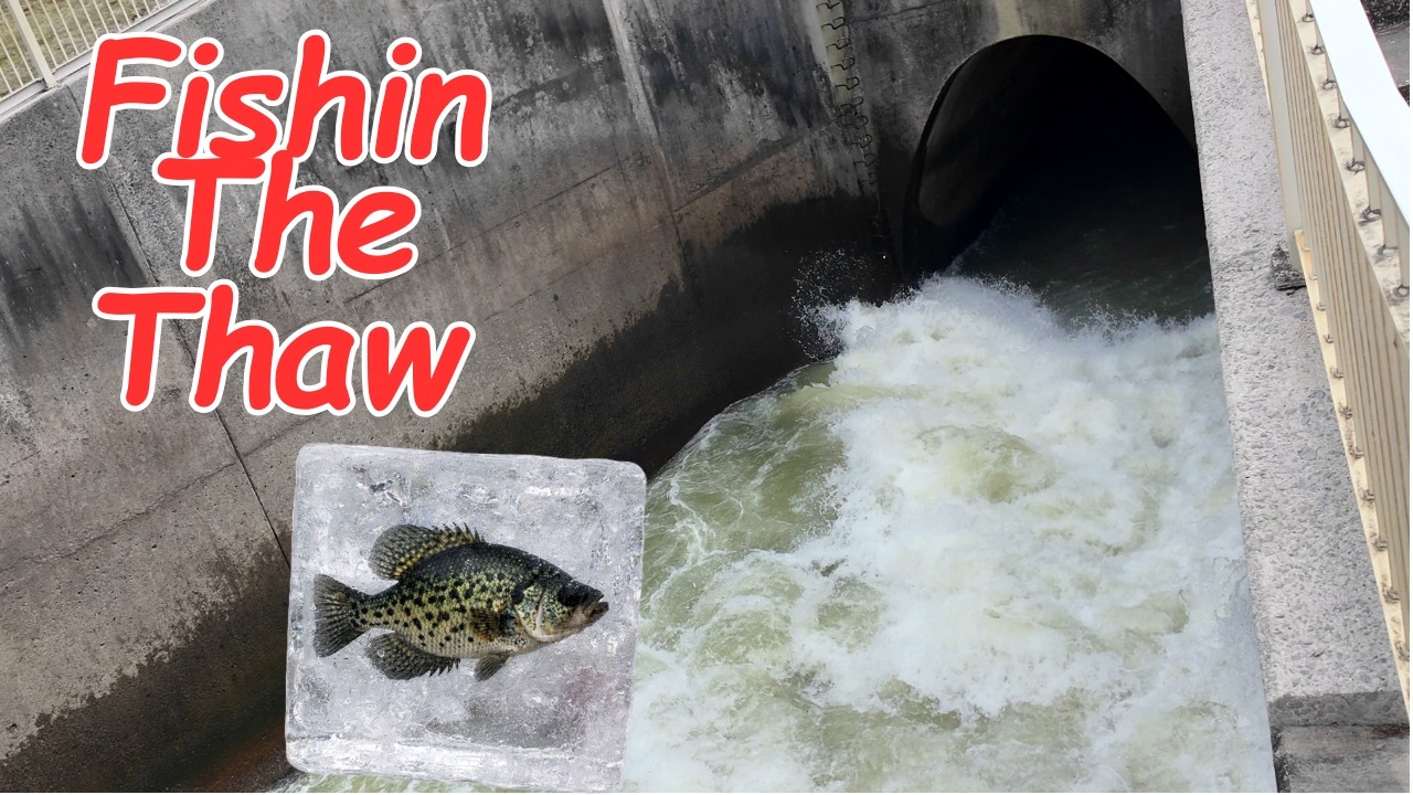 Lakes have thawed, can I catch anything #fishing #fishingvideo #fyp