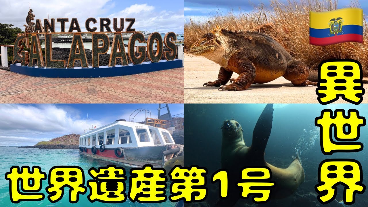 【独特な世界】太平洋に浮かぶ楽園のガラパゴス諸島🇪🇨に行ってきたんだけど...