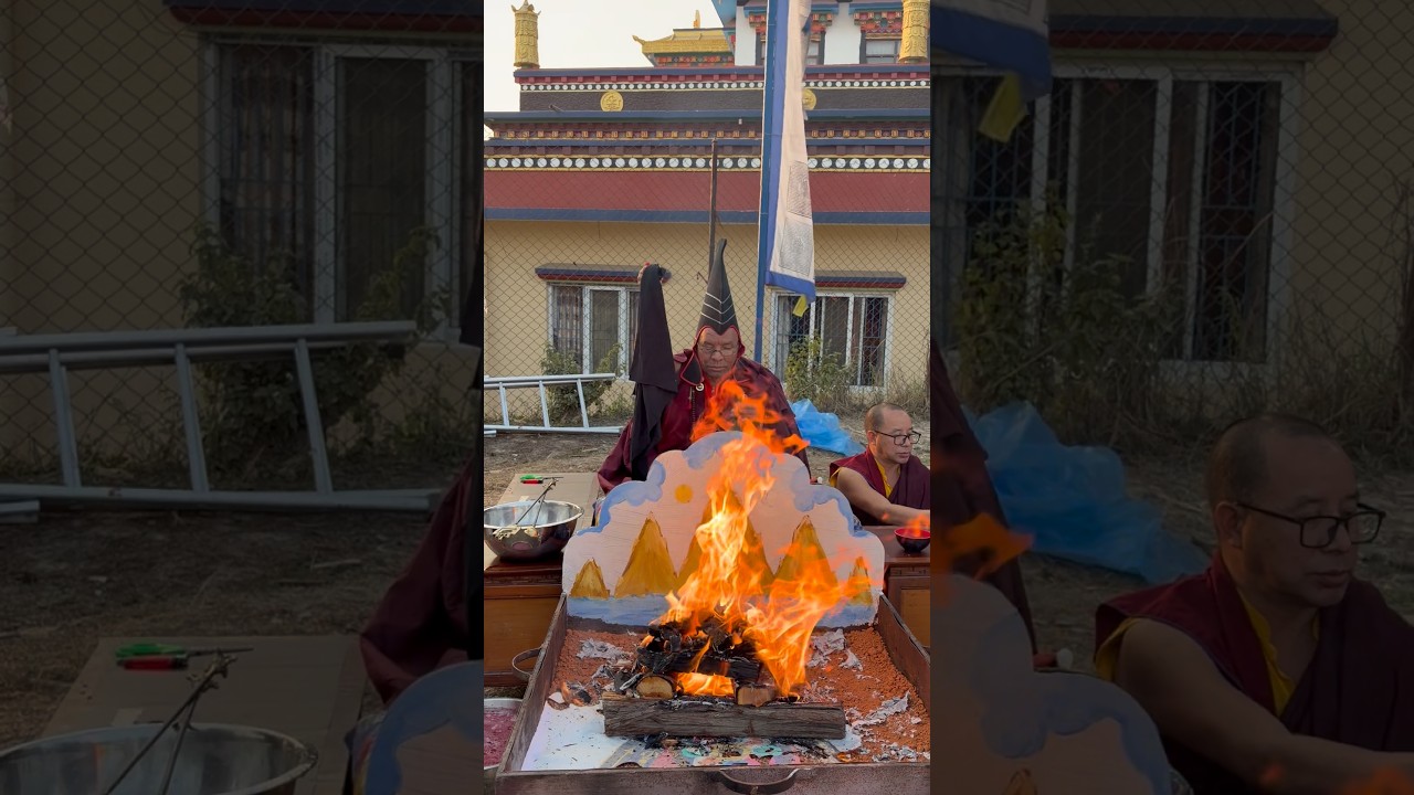 #youtubeshorts #lifeisbutadream #buddha #travel #buddhaamitabha