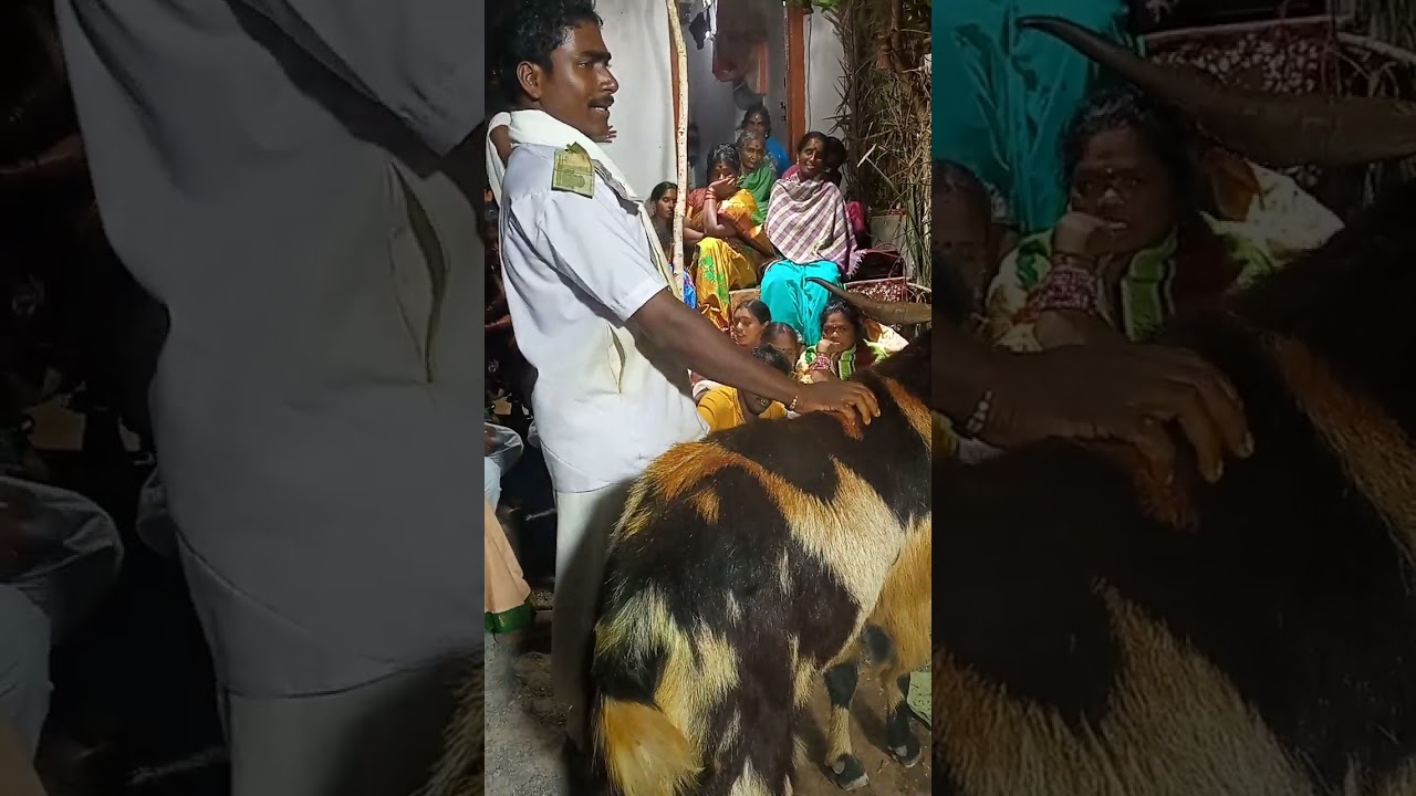 nunala sarath9177060347, 8333060347 (domanapalli)golla chaduvu regulapadu gavu.