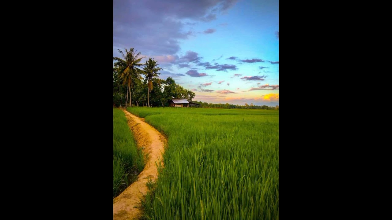 Koleksi Lagu Lagu Bajau Samah