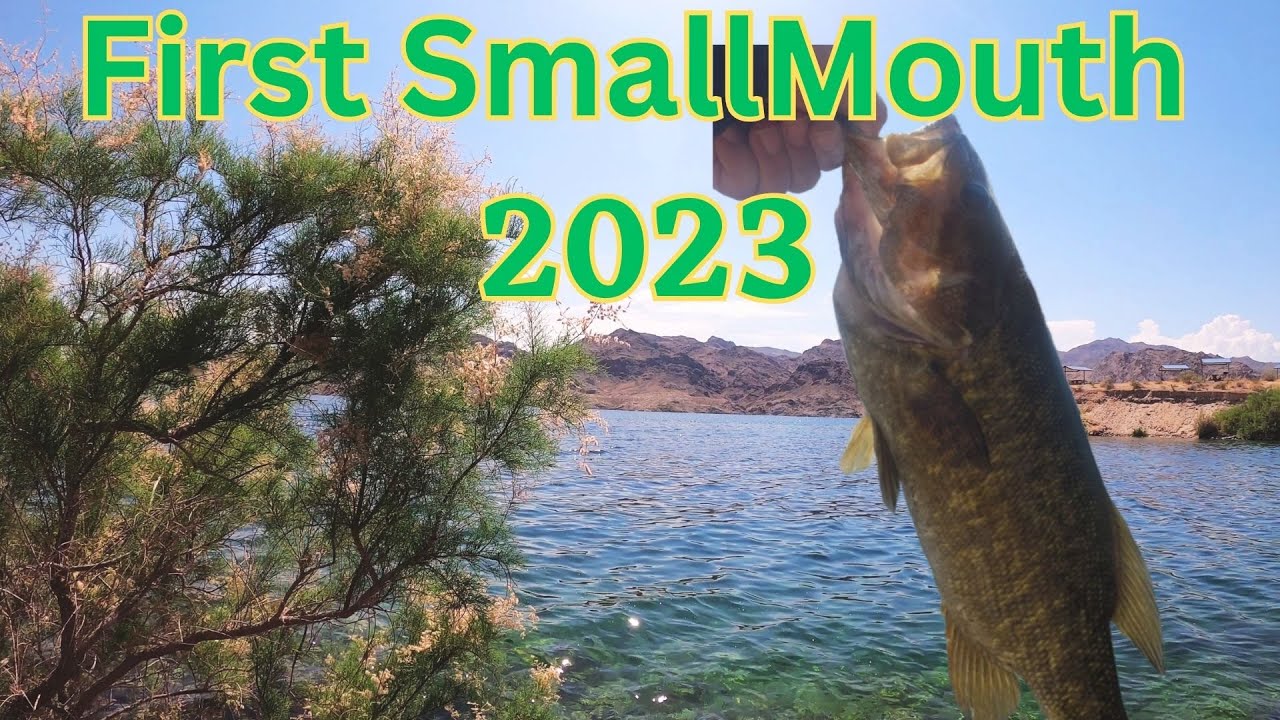 Fishing at Lake Mohave Smallmouth Bass fishing!!