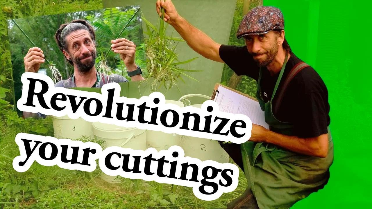 This Propagation Trick Changed My Garden—and My Life!
