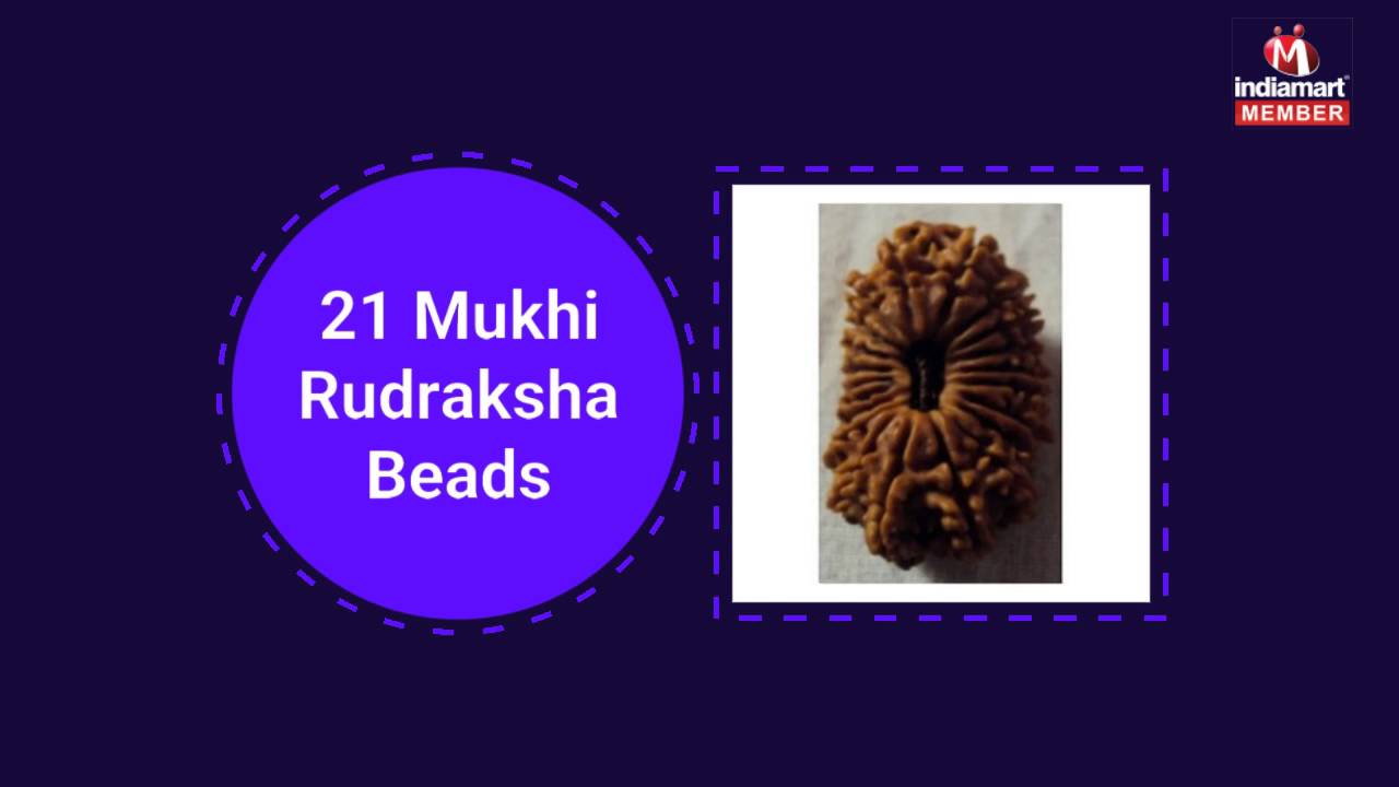 Premium Quality Rudraksh and Gemstones by Shiv Rudraksh Anusandhan Kendra, Varanasi