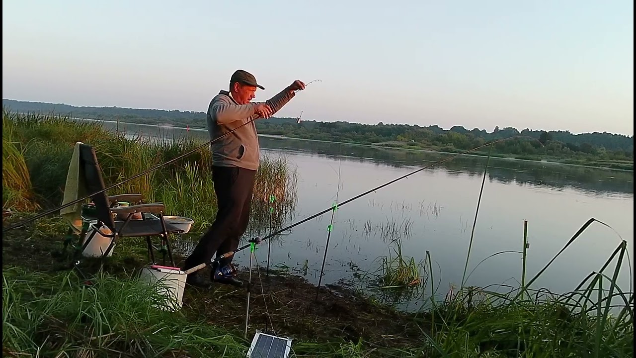 2024-08-29 zvejyba Nemune ,karsiai kuojos ir  Nemuno monstrai🥸😅