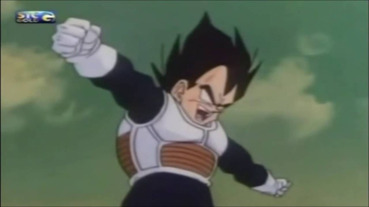[HUEHUEHUE]Vegeta! Olha beeem! WHOOOOOOOOOOOOOOOL!!!