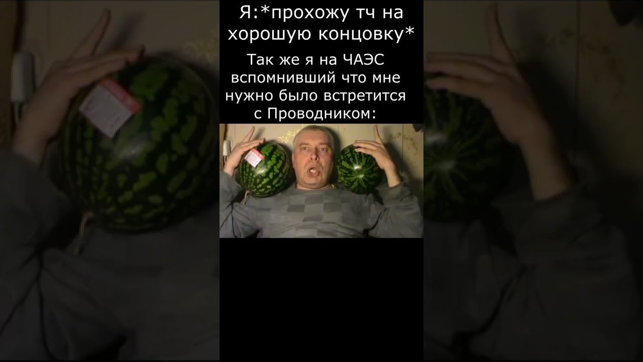 Сталкер Геннадий Горин мем