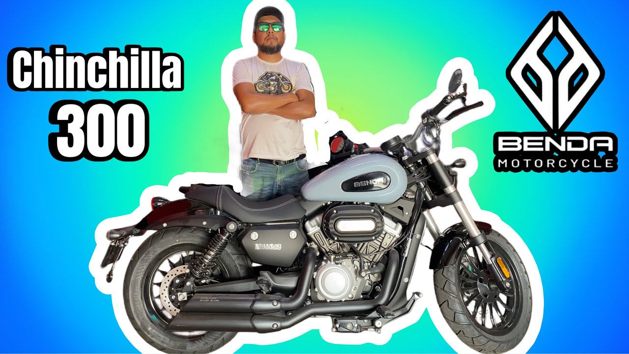 Benda Chinchilla 300