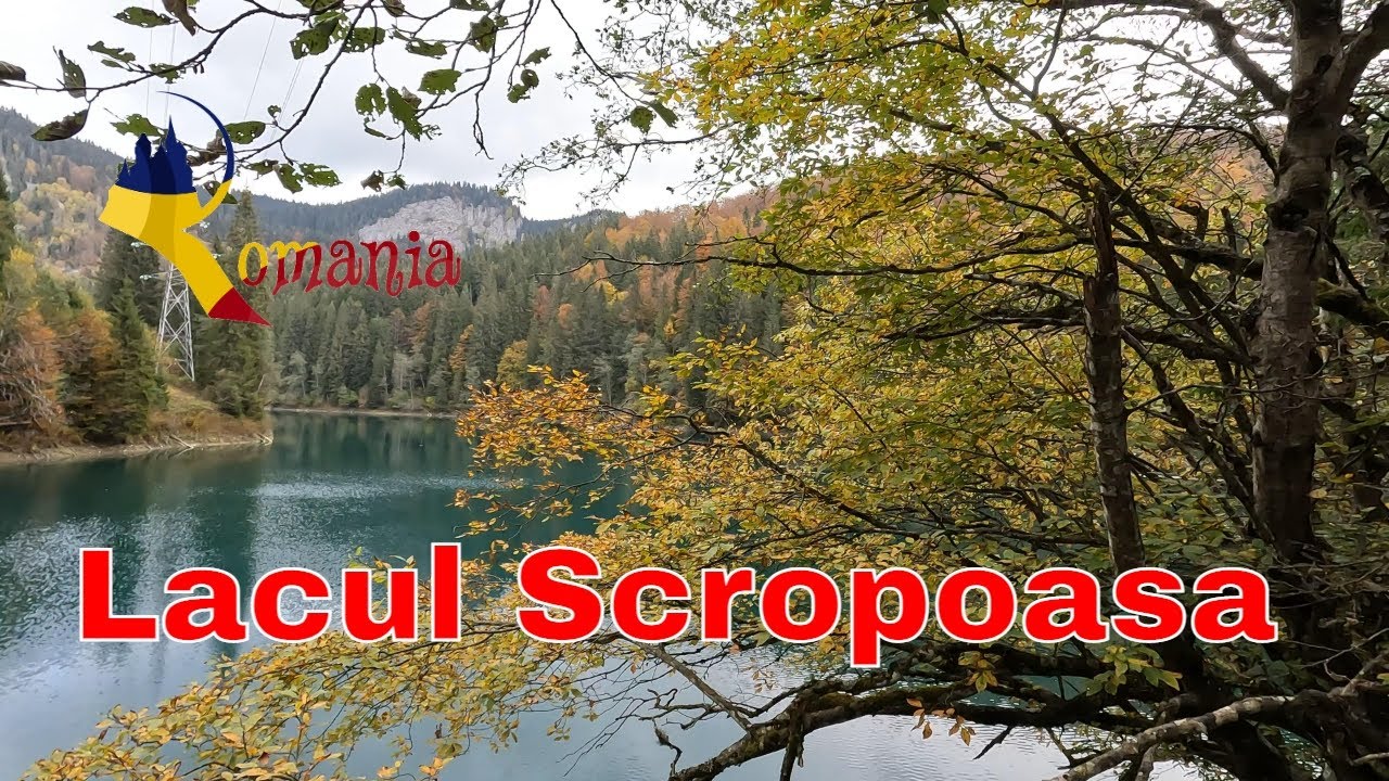 Simfonie de culori spre Lacul Scropoasa prin Cheile Zănoagei