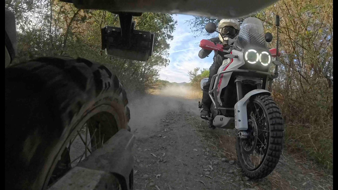 Mexico high country on the Desert X and Desert X Rally