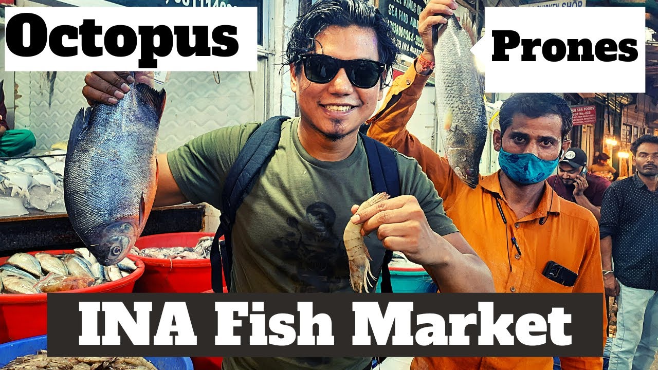 INA fish market 2022| Octopus| Prones fish| Tuna| Salmon| India's unique Fish Market| Delhi| India
