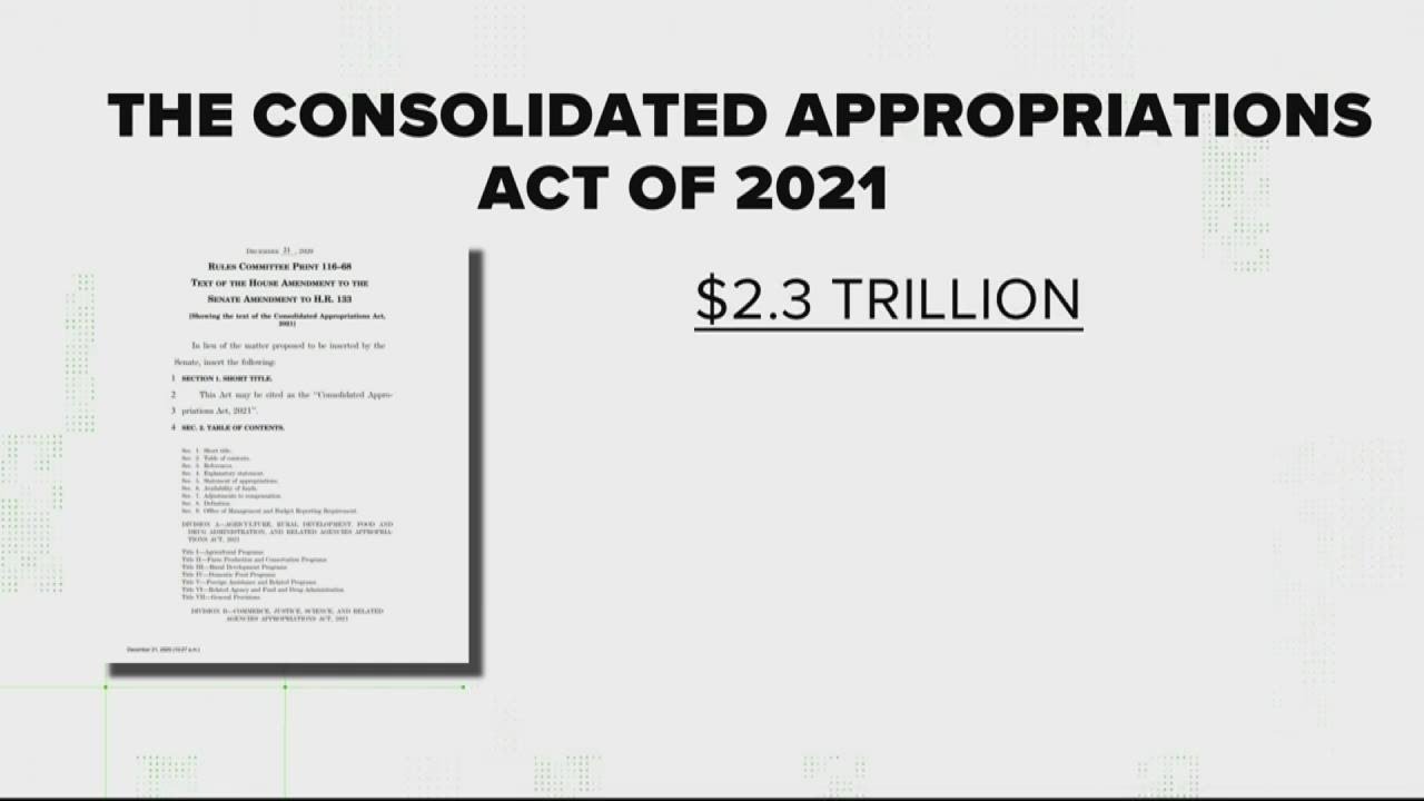 Verify: Does the COVID-19 relief package include funding for foreign governments?
