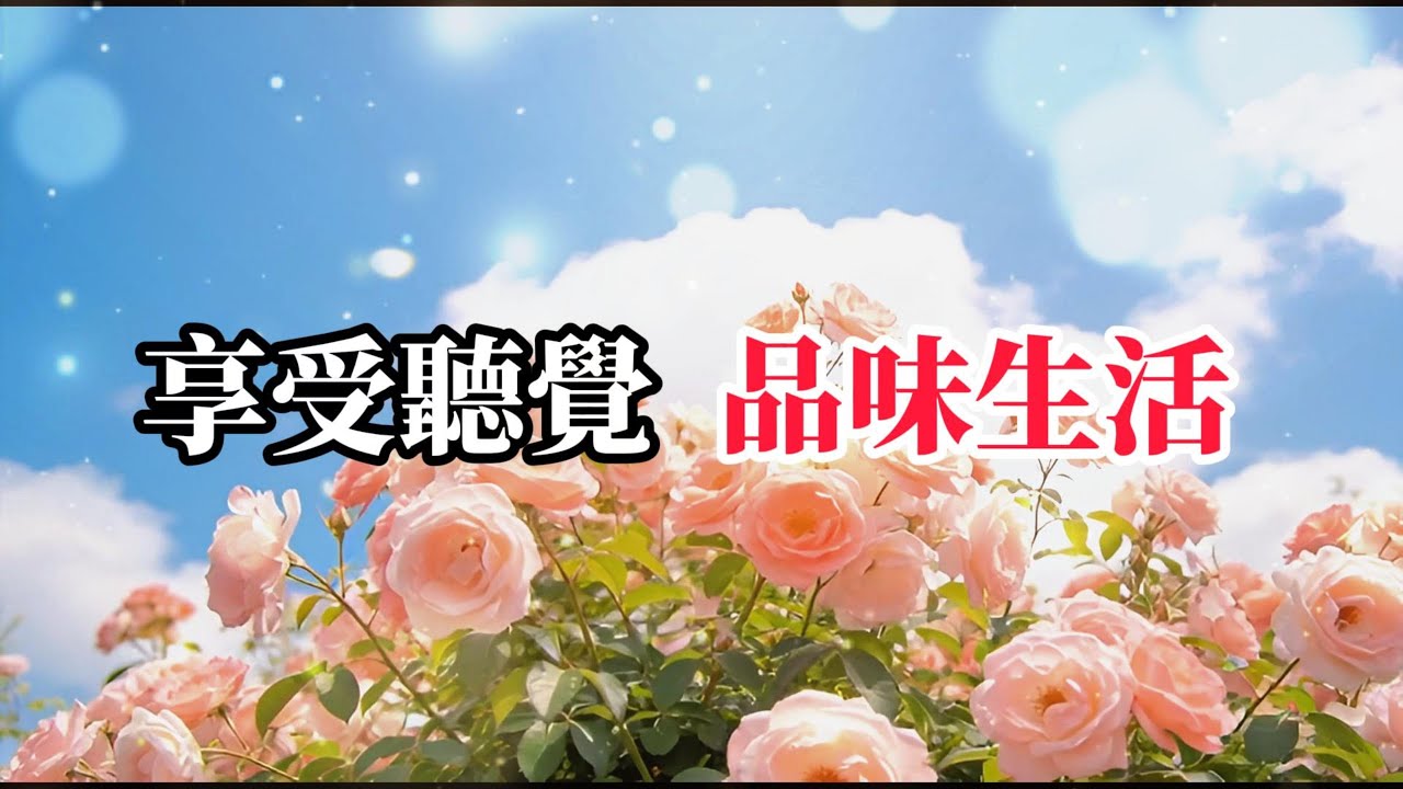 悠閒 享受聽覺 溫潤的聲景為你的思緒鋪上一層柔光，完美隔絕外界紛擾，讓你專注而平靜地進入冥想、閱讀或高效工作狀態 -3-