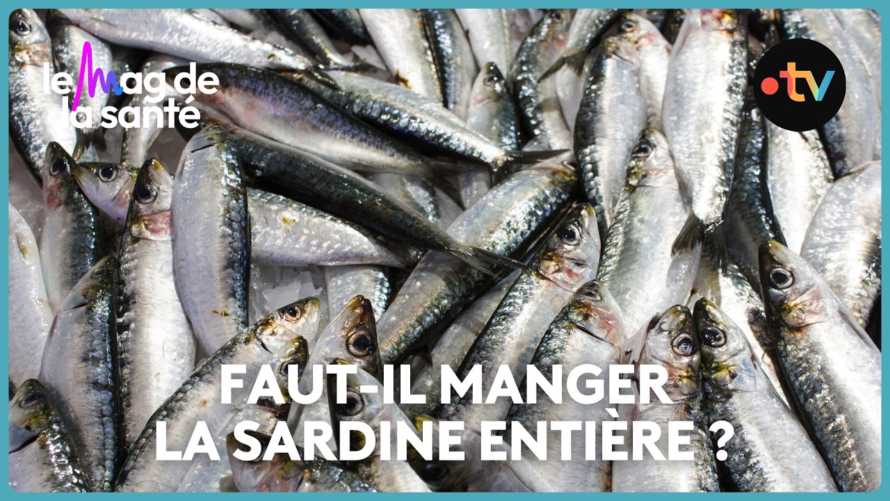 Tous les bienfaits des sardines