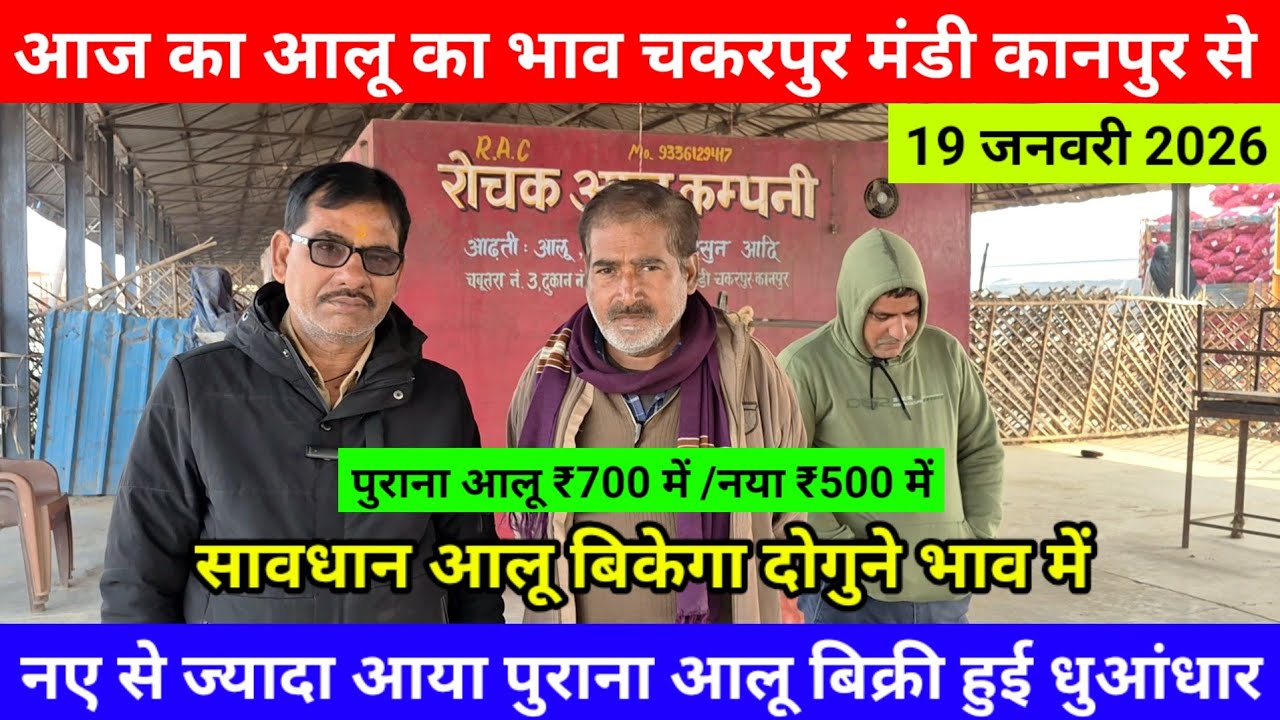 19 जनवरी 2026 // आज का आलू का भाव चकरपुर मंडी कानपुर से आलू बिकेगा दोगुने भाव में  Aalu Ka Bhav
