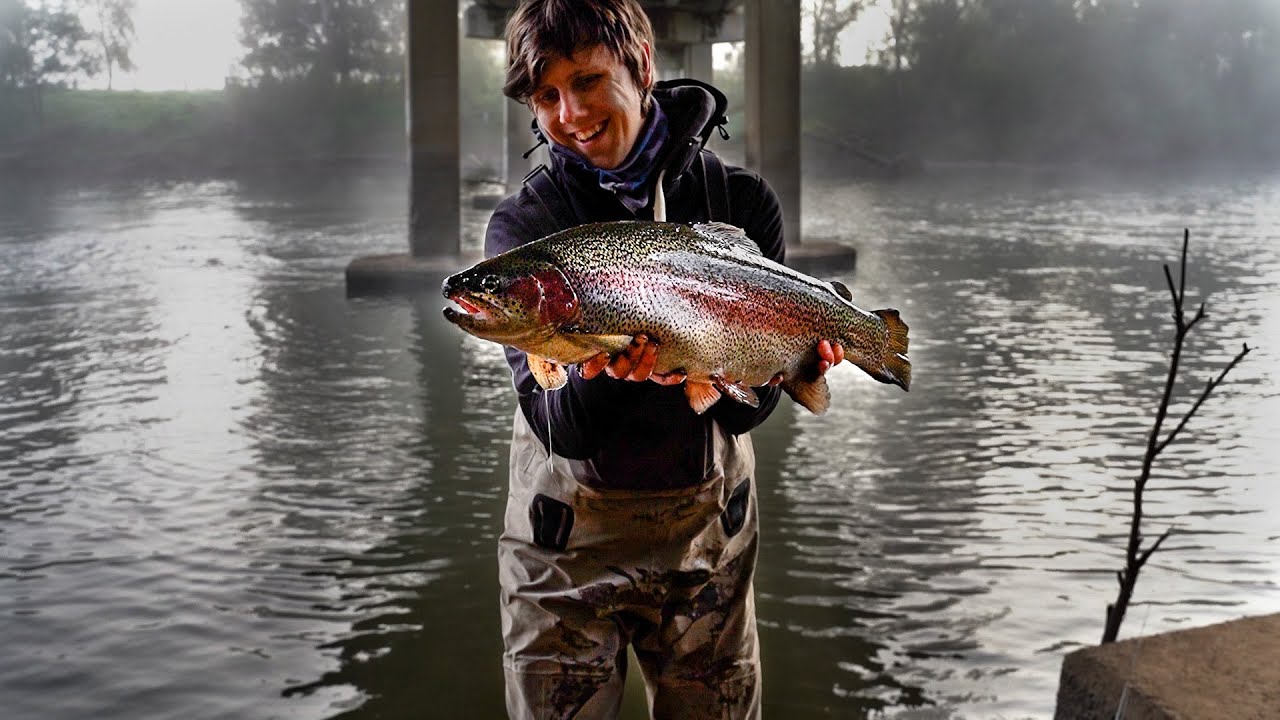 Goulburn River Stonkers And Wild Brown Trout