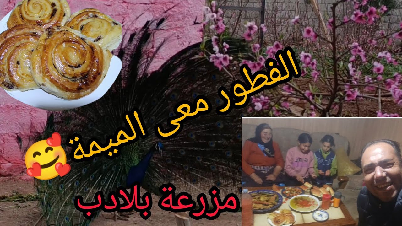 🏞️اليوم التالث عشر في رمضان💯الفطور معى الميمة الحنينة⁉️في مزرعة بلادي🔥
