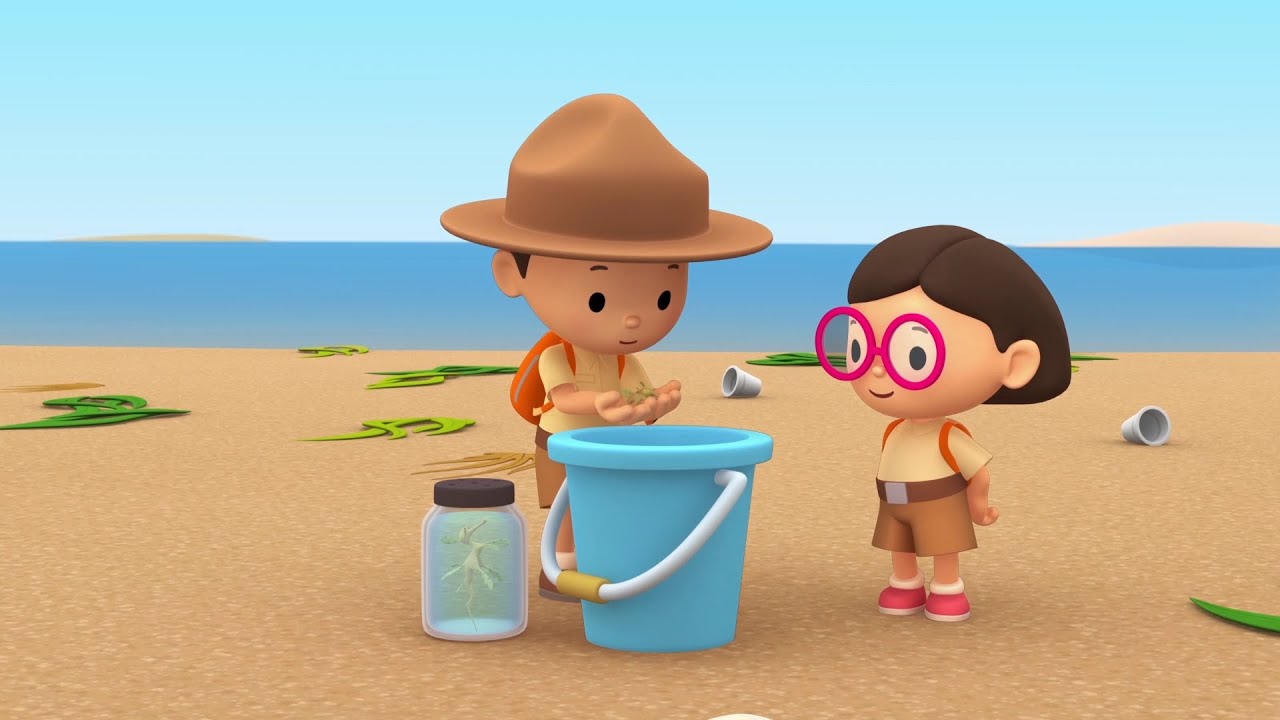 Leafy Sea Dragon - Leo The Wildlife Ranger Minisode #146