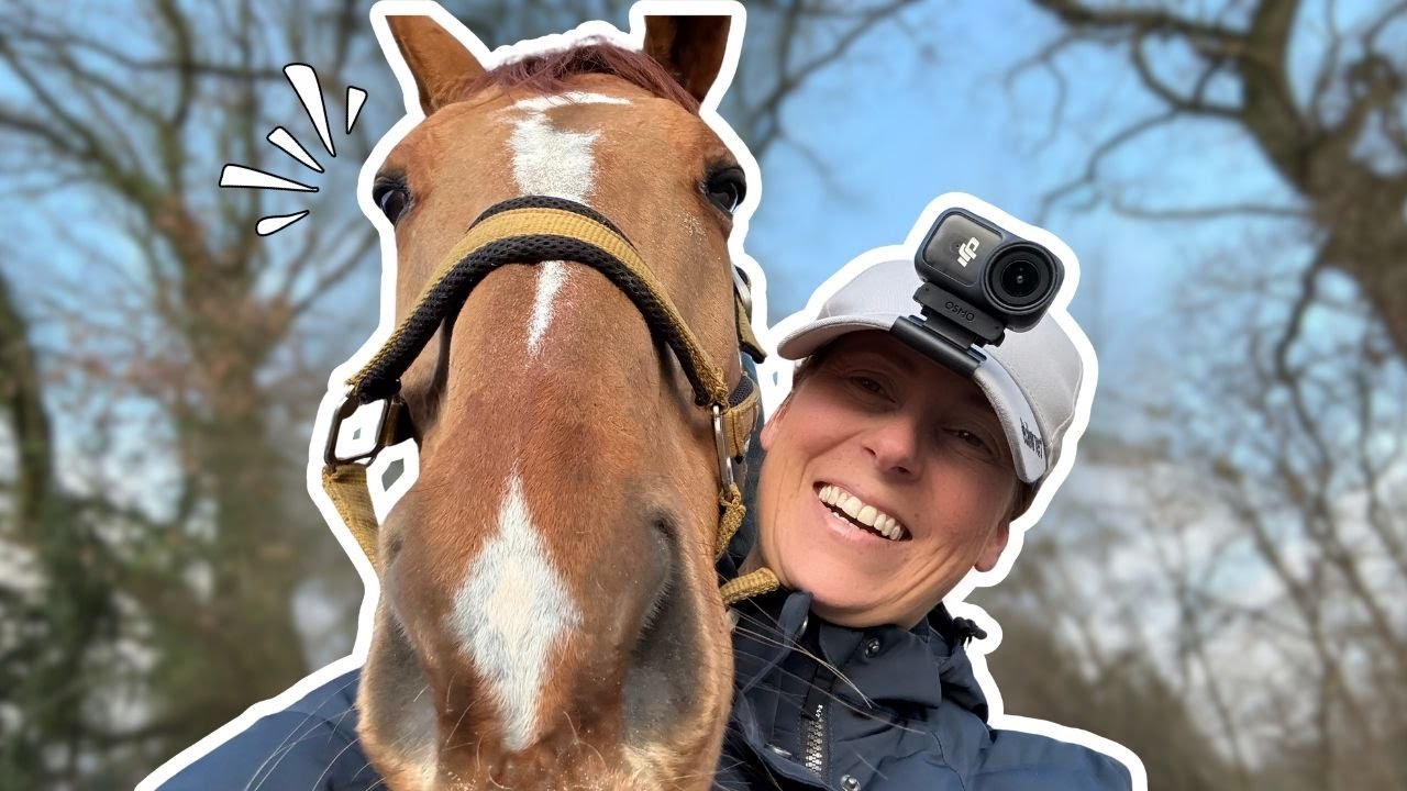 POV Come on a trail ride with my fresh ex-eventing horse || Equitality