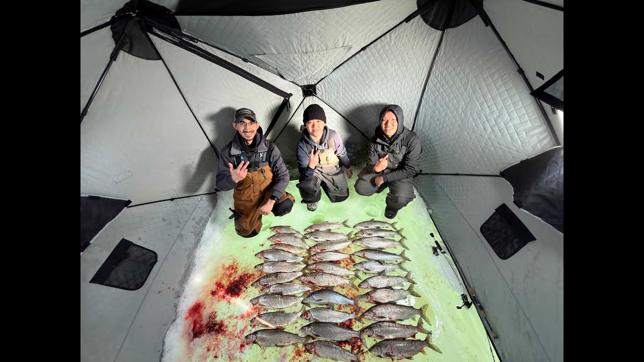 Whitefish Ice Fishing | 3 Man Limit | Lower Bay of Green Bay