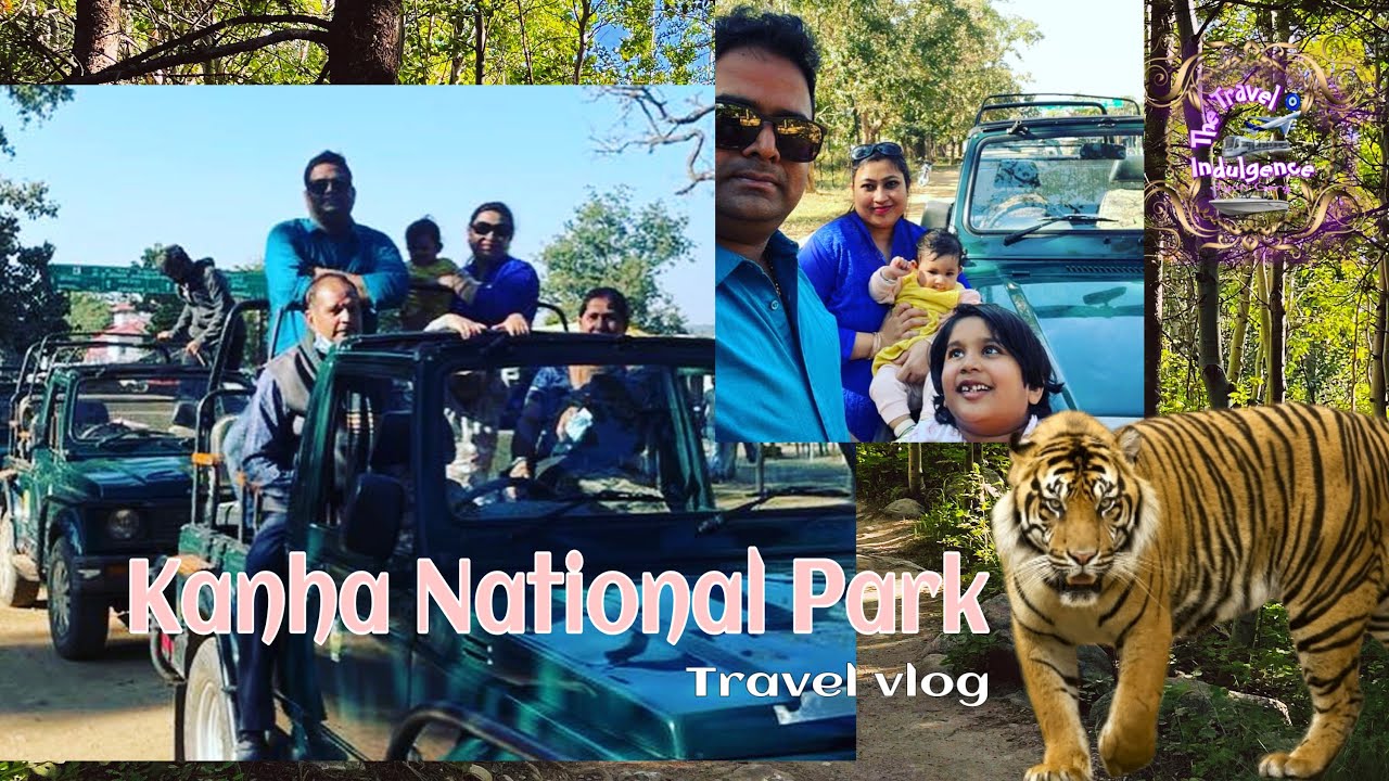 Kanha national park , complete information of cost and what to do. | raipur to kanha tiger reserve