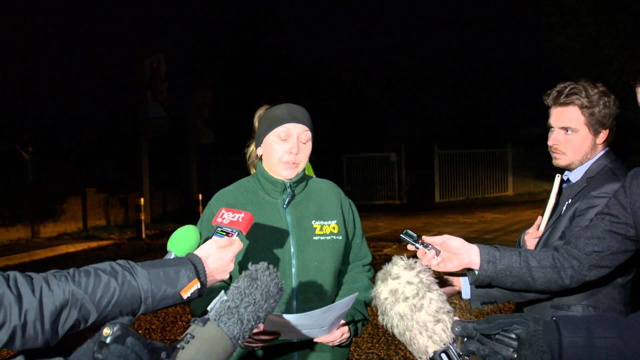 Colchester Zoo Wolf Statement