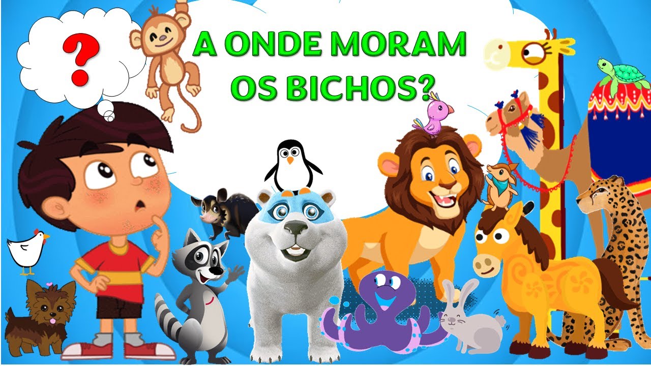 A ONDE MORAM OS ANIMAIS? |  Os animais e seu habitat - EDUCAÇÃO INFANTIL