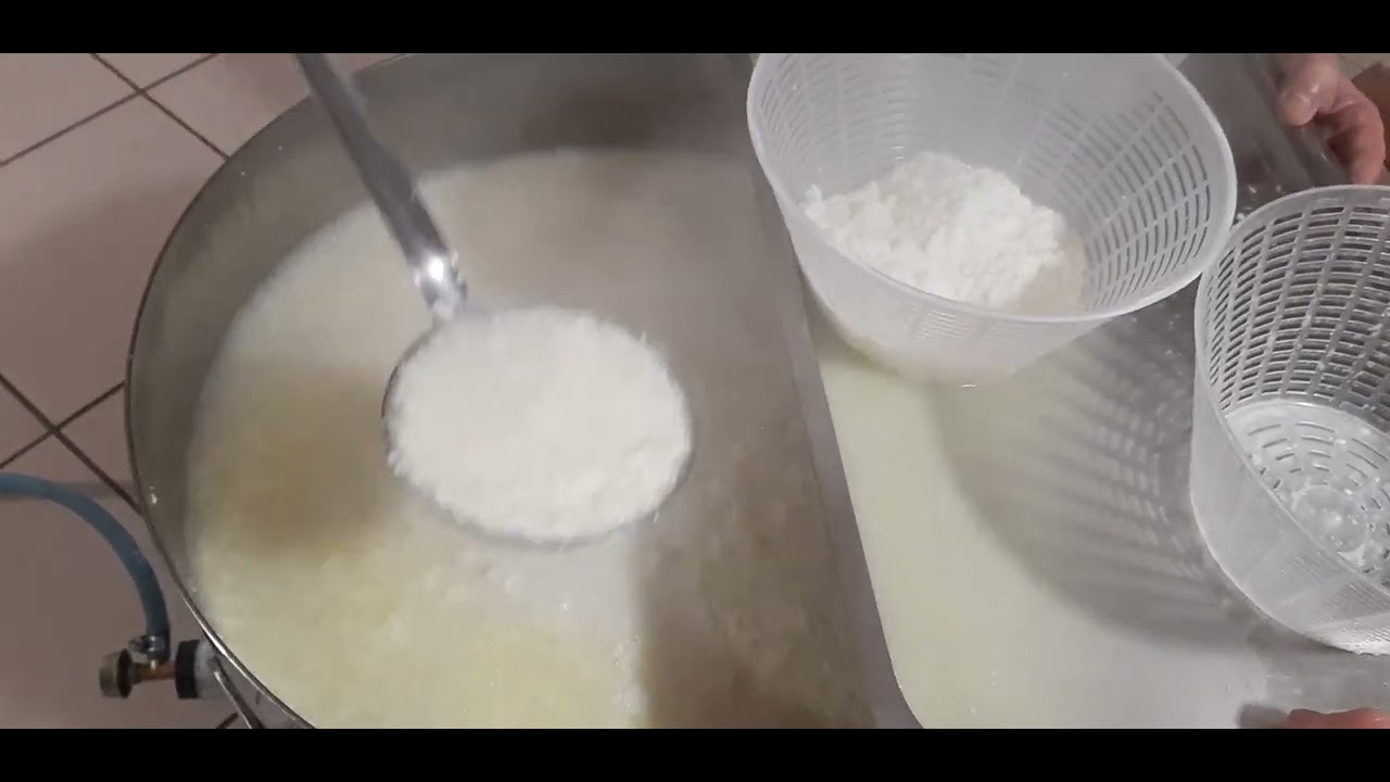 latte crudo di pecora SECONDA PARTE