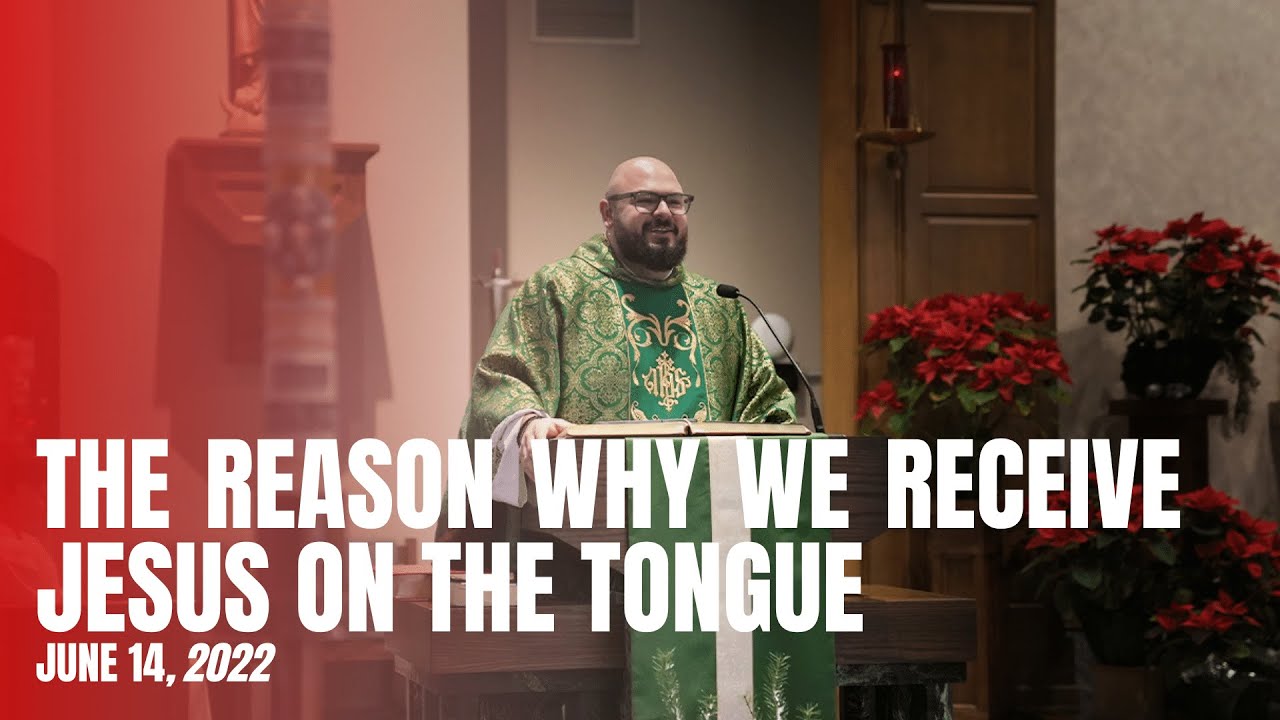 The Reason Why We Receive Jesus on the Tongue - Fr. Patrick Schultz