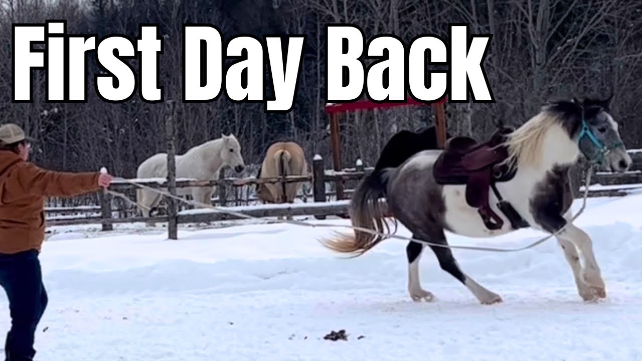 Restarting My 5-Year-Old Mare After a Winter Off